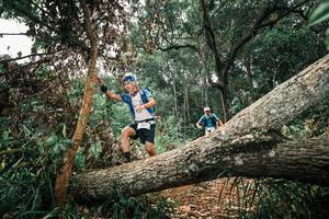 BIB: 
                            <button type="button" onclick="openModal(25546374)" class="btn btn-primary btn-sm float-right btn-popup" data-toggle="modal" data-target=".modal-high-quality">
                        <i class="fas fa-shopping-cart"></i> Add to Cart
                    </button>
                                            <button type="button" onclick="isThisMe(25546374, true)" class="btn btn-success btn-sm float-right btn-popup btn-isme hidden" data-toggle="tooltip" data-placement="bottom" title="นี่คือรูปของคุณใช่ไหม คลิกที่นี่เพื่อเอาเข้าอัลบั้ม">
                        <i class="fas fa-plus"></i> Add to album
                    </button>
                    <button type="button" onclick="isThisMe(25546374, false)" class="btn btn-warning btn-sm float-right btn-popup btn-isnotme hidden">
                        <i class="fas fa-ban"></i> Remove from album
                    </button>