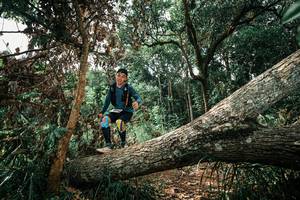 BIB: 
                            <button type="button" onclick="openModal(25551531)" class="btn btn-primary btn-sm float-right btn-popup" data-toggle="modal" data-target=".modal-high-quality">
                        <i class="fas fa-shopping-cart"></i> Add to Cart
                    </button>
                                            <button type="button" onclick="isThisMe(25551531, true)" class="btn btn-success btn-sm float-right btn-popup btn-isme hidden" data-toggle="tooltip" data-placement="bottom" title="นี่คือรูปของคุณใช่ไหม คลิกที่นี่เพื่อเอาเข้าอัลบั้ม">
                        <i class="fas fa-plus"></i> Add to album
                    </button>
                    <button type="button" onclick="isThisMe(25551531, false)" class="btn btn-warning btn-sm float-right btn-popup btn-isnotme hidden">
                        <i class="fas fa-ban"></i> Remove from album
                    </button>