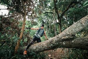 BIB: 
                            <button type="button" onclick="openModal(25538031)" class="btn btn-primary btn-sm float-right btn-popup" data-toggle="modal" data-target=".modal-high-quality">
                        <i class="fas fa-shopping-cart"></i> Add to Cart
                    </button>
                                            <button type="button" onclick="isThisMe(25538031, true)" class="btn btn-success btn-sm float-right btn-popup btn-isme hidden" data-toggle="tooltip" data-placement="bottom" title="นี่คือรูปของคุณใช่ไหม คลิกที่นี่เพื่อเอาเข้าอัลบั้ม">
                        <i class="fas fa-plus"></i> Add to album
                    </button>
                    <button type="button" onclick="isThisMe(25538031, false)" class="btn btn-warning btn-sm float-right btn-popup btn-isnotme hidden">
                        <i class="fas fa-ban"></i> Remove from album
                    </button>