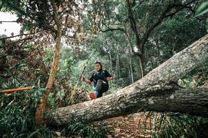 BIB: 
                            <button type="button" onclick="openModal(25541040)" class="btn btn-primary btn-sm float-right btn-popup" data-toggle="modal" data-target=".modal-high-quality">
                        <i class="fas fa-shopping-cart"></i> Add to Cart
                    </button>
                                            <button type="button" onclick="isThisMe(25541040, true)" class="btn btn-success btn-sm float-right btn-popup btn-isme hidden" data-toggle="tooltip" data-placement="bottom" title="นี่คือรูปของคุณใช่ไหม คลิกที่นี่เพื่อเอาเข้าอัลบั้ม">
                        <i class="fas fa-plus"></i> Add to album
                    </button>
                    <button type="button" onclick="isThisMe(25541040, false)" class="btn btn-warning btn-sm float-right btn-popup btn-isnotme hidden">
                        <i class="fas fa-ban"></i> Remove from album
                    </button>