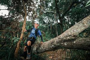 BIB: 
                            <button type="button" onclick="openModal(25552917)" class="btn btn-primary btn-sm float-right btn-popup" data-toggle="modal" data-target=".modal-high-quality">
                        <i class="fas fa-shopping-cart"></i> Add to Cart
                    </button>
                                            <button type="button" onclick="isThisMe(25552917, true)" class="btn btn-success btn-sm float-right btn-popup btn-isme hidden" data-toggle="tooltip" data-placement="bottom" title="นี่คือรูปของคุณใช่ไหม คลิกที่นี่เพื่อเอาเข้าอัลบั้ม">
                        <i class="fas fa-plus"></i> Add to album
                    </button>
                    <button type="button" onclick="isThisMe(25552917, false)" class="btn btn-warning btn-sm float-right btn-popup btn-isnotme hidden">
                        <i class="fas fa-ban"></i> Remove from album
                    </button>