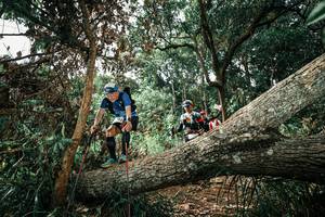 BIB: 
                            <button type="button" onclick="openModal(25548993)" class="btn btn-primary btn-sm float-right btn-popup" data-toggle="modal" data-target=".modal-high-quality">
                        <i class="fas fa-shopping-cart"></i> Add to Cart
                    </button>
                                            <button type="button" onclick="isThisMe(25548993, true)" class="btn btn-success btn-sm float-right btn-popup btn-isme hidden" data-toggle="tooltip" data-placement="bottom" title="นี่คือรูปของคุณใช่ไหม คลิกที่นี่เพื่อเอาเข้าอัลบั้ม">
                        <i class="fas fa-plus"></i> Add to album
                    </button>
                    <button type="button" onclick="isThisMe(25548993, false)" class="btn btn-warning btn-sm float-right btn-popup btn-isnotme hidden">
                        <i class="fas fa-ban"></i> Remove from album
                    </button>