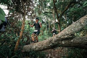 BIB: 
                            <button type="button" onclick="openModal(25528696)" class="btn btn-primary btn-sm float-right btn-popup" data-toggle="modal" data-target=".modal-high-quality">
                        <i class="fas fa-shopping-cart"></i> Add to Cart
                    </button>
                                            <button type="button" onclick="isThisMe(25528696, true)" class="btn btn-success btn-sm float-right btn-popup btn-isme hidden" data-toggle="tooltip" data-placement="bottom" title="นี่คือรูปของคุณใช่ไหม คลิกที่นี่เพื่อเอาเข้าอัลบั้ม">
                        <i class="fas fa-plus"></i> Add to album
                    </button>
                    <button type="button" onclick="isThisMe(25528696, false)" class="btn btn-warning btn-sm float-right btn-popup btn-isnotme hidden">
                        <i class="fas fa-ban"></i> Remove from album
                    </button>