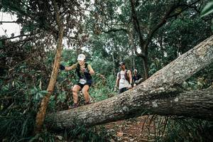 BIB: 
                            <button type="button" onclick="openModal(25541584)" class="btn btn-primary btn-sm float-right btn-popup" data-toggle="modal" data-target=".modal-high-quality">
                        <i class="fas fa-shopping-cart"></i> Add to Cart
                    </button>
                                            <button type="button" onclick="isThisMe(25541584, true)" class="btn btn-success btn-sm float-right btn-popup btn-isme hidden" data-toggle="tooltip" data-placement="bottom" title="นี่คือรูปของคุณใช่ไหม คลิกที่นี่เพื่อเอาเข้าอัลบั้ม">
                        <i class="fas fa-plus"></i> Add to album
                    </button>
                    <button type="button" onclick="isThisMe(25541584, false)" class="btn btn-warning btn-sm float-right btn-popup btn-isnotme hidden">
                        <i class="fas fa-ban"></i> Remove from album
                    </button>