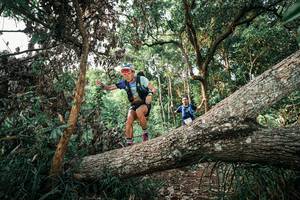 BIB: 
                            <button type="button" onclick="openModal(25527633)" class="btn btn-primary btn-sm float-right btn-popup" data-toggle="modal" data-target=".modal-high-quality">
                        <i class="fas fa-shopping-cart"></i> Add to Cart
                    </button>
                                            <button type="button" onclick="isThisMe(25527633, true)" class="btn btn-success btn-sm float-right btn-popup btn-isme hidden" data-toggle="tooltip" data-placement="bottom" title="นี่คือรูปของคุณใช่ไหม คลิกที่นี่เพื่อเอาเข้าอัลบั้ม">
                        <i class="fas fa-plus"></i> Add to album
                    </button>
                    <button type="button" onclick="isThisMe(25527633, false)" class="btn btn-warning btn-sm float-right btn-popup btn-isnotme hidden">
                        <i class="fas fa-ban"></i> Remove from album
                    </button>