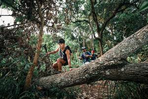 BIB: 
                            <button type="button" onclick="openModal(25532917)" class="btn btn-primary btn-sm float-right btn-popup" data-toggle="modal" data-target=".modal-high-quality">
                        <i class="fas fa-shopping-cart"></i> Add to Cart
                    </button>
                                            <button type="button" onclick="isThisMe(25532917, true)" class="btn btn-success btn-sm float-right btn-popup btn-isme hidden" data-toggle="tooltip" data-placement="bottom" title="นี่คือรูปของคุณใช่ไหม คลิกที่นี่เพื่อเอาเข้าอัลบั้ม">
                        <i class="fas fa-plus"></i> Add to album
                    </button>
                    <button type="button" onclick="isThisMe(25532917, false)" class="btn btn-warning btn-sm float-right btn-popup btn-isnotme hidden">
                        <i class="fas fa-ban"></i> Remove from album
                    </button>