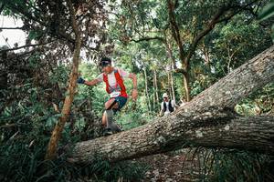 BIB: 
                            <button type="button" onclick="openModal(25527783)" class="btn btn-primary btn-sm float-right btn-popup" data-toggle="modal" data-target=".modal-high-quality">
                        <i class="fas fa-shopping-cart"></i> Add to Cart
                    </button>
                                            <button type="button" onclick="isThisMe(25527783, true)" class="btn btn-success btn-sm float-right btn-popup btn-isme hidden" data-toggle="tooltip" data-placement="bottom" title="นี่คือรูปของคุณใช่ไหม คลิกที่นี่เพื่อเอาเข้าอัลบั้ม">
                        <i class="fas fa-plus"></i> Add to album
                    </button>
                    <button type="button" onclick="isThisMe(25527783, false)" class="btn btn-warning btn-sm float-right btn-popup btn-isnotme hidden">
                        <i class="fas fa-ban"></i> Remove from album
                    </button>