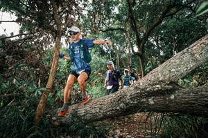 BIB: 
                            <button type="button" onclick="openModal(25536906)" class="btn btn-primary btn-sm float-right btn-popup" data-toggle="modal" data-target=".modal-high-quality">
                        <i class="fas fa-shopping-cart"></i> Add to Cart
                    </button>
                                            <button type="button" onclick="isThisMe(25536906, true)" class="btn btn-success btn-sm float-right btn-popup btn-isme hidden" data-toggle="tooltip" data-placement="bottom" title="นี่คือรูปของคุณใช่ไหม คลิกที่นี่เพื่อเอาเข้าอัลบั้ม">
                        <i class="fas fa-plus"></i> Add to album
                    </button>
                    <button type="button" onclick="isThisMe(25536906, false)" class="btn btn-warning btn-sm float-right btn-popup btn-isnotme hidden">
                        <i class="fas fa-ban"></i> Remove from album
                    </button>