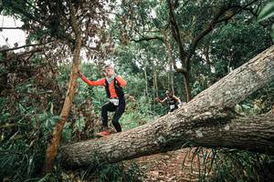 BIB: 
                            <button type="button" onclick="openModal(25544741)" class="btn btn-primary btn-sm float-right btn-popup" data-toggle="modal" data-target=".modal-high-quality">
                        <i class="fas fa-shopping-cart"></i> Add to Cart
                    </button>
                                            <button type="button" onclick="isThisMe(25544741, true)" class="btn btn-success btn-sm float-right btn-popup btn-isme hidden" data-toggle="tooltip" data-placement="bottom" title="นี่คือรูปของคุณใช่ไหม คลิกที่นี่เพื่อเอาเข้าอัลบั้ม">
                        <i class="fas fa-plus"></i> Add to album
                    </button>
                    <button type="button" onclick="isThisMe(25544741, false)" class="btn btn-warning btn-sm float-right btn-popup btn-isnotme hidden">
                        <i class="fas fa-ban"></i> Remove from album
                    </button>