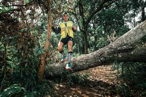 BIB: 
                            <button type="button" onclick="openModal(25553068)" class="btn btn-primary btn-sm float-right btn-popup" data-toggle="modal" data-target=".modal-high-quality">
                        <i class="fas fa-shopping-cart"></i> Add to Cart
                    </button>
                                            <button type="button" onclick="isThisMe(25553068, true)" class="btn btn-success btn-sm float-right btn-popup btn-isme hidden" data-toggle="tooltip" data-placement="bottom" title="นี่คือรูปของคุณใช่ไหม คลิกที่นี่เพื่อเอาเข้าอัลบั้ม">
                        <i class="fas fa-plus"></i> Add to album
                    </button>
                    <button type="button" onclick="isThisMe(25553068, false)" class="btn btn-warning btn-sm float-right btn-popup btn-isnotme hidden">
                        <i class="fas fa-ban"></i> Remove from album
                    </button>