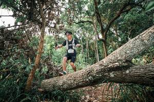 BIB: 
                            <button type="button" onclick="openModal(25529320)" class="btn btn-primary btn-sm float-right btn-popup" data-toggle="modal" data-target=".modal-high-quality">
                        <i class="fas fa-shopping-cart"></i> Add to Cart
                    </button>
                                            <button type="button" onclick="isThisMe(25529320, true)" class="btn btn-success btn-sm float-right btn-popup btn-isme hidden" data-toggle="tooltip" data-placement="bottom" title="นี่คือรูปของคุณใช่ไหม คลิกที่นี่เพื่อเอาเข้าอัลบั้ม">
                        <i class="fas fa-plus"></i> Add to album
                    </button>
                    <button type="button" onclick="isThisMe(25529320, false)" class="btn btn-warning btn-sm float-right btn-popup btn-isnotme hidden">
                        <i class="fas fa-ban"></i> Remove from album
                    </button>