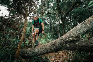 BIB: 
                            <button type="button" onclick="openModal(25550138)" class="btn btn-primary btn-sm float-right btn-popup" data-toggle="modal" data-target=".modal-high-quality">
                        <i class="fas fa-shopping-cart"></i> Add to Cart
                    </button>
                                            <button type="button" onclick="isThisMe(25550138, true)" class="btn btn-success btn-sm float-right btn-popup btn-isme hidden" data-toggle="tooltip" data-placement="bottom" title="นี่คือรูปของคุณใช่ไหม คลิกที่นี่เพื่อเอาเข้าอัลบั้ม">
                        <i class="fas fa-plus"></i> Add to album
                    </button>
                    <button type="button" onclick="isThisMe(25550138, false)" class="btn btn-warning btn-sm float-right btn-popup btn-isnotme hidden">
                        <i class="fas fa-ban"></i> Remove from album
                    </button>