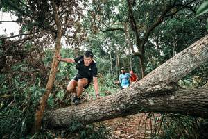 BIB: 
                            <button type="button" onclick="openModal(25544632)" class="btn btn-primary btn-sm float-right btn-popup" data-toggle="modal" data-target=".modal-high-quality">
                        <i class="fas fa-shopping-cart"></i> Add to Cart
                    </button>
                                            <button type="button" onclick="isThisMe(25544632, true)" class="btn btn-success btn-sm float-right btn-popup btn-isme hidden" data-toggle="tooltip" data-placement="bottom" title="นี่คือรูปของคุณใช่ไหม คลิกที่นี่เพื่อเอาเข้าอัลบั้ม">
                        <i class="fas fa-plus"></i> Add to album
                    </button>
                    <button type="button" onclick="isThisMe(25544632, false)" class="btn btn-warning btn-sm float-right btn-popup btn-isnotme hidden">
                        <i class="fas fa-ban"></i> Remove from album
                    </button>