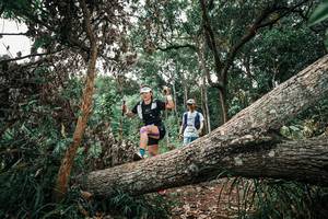 BIB: 
                            <button type="button" onclick="openModal(25530884)" class="btn btn-primary btn-sm float-right btn-popup" data-toggle="modal" data-target=".modal-high-quality">
                        <i class="fas fa-shopping-cart"></i> Add to Cart
                    </button>
                                            <button type="button" onclick="isThisMe(25530884, true)" class="btn btn-success btn-sm float-right btn-popup btn-isme hidden" data-toggle="tooltip" data-placement="bottom" title="นี่คือรูปของคุณใช่ไหม คลิกที่นี่เพื่อเอาเข้าอัลบั้ม">
                        <i class="fas fa-plus"></i> Add to album
                    </button>
                    <button type="button" onclick="isThisMe(25530884, false)" class="btn btn-warning btn-sm float-right btn-popup btn-isnotme hidden">
                        <i class="fas fa-ban"></i> Remove from album
                    </button>