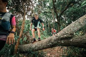 BIB: 
                            <button type="button" onclick="openModal(25544852)" class="btn btn-primary btn-sm float-right btn-popup" data-toggle="modal" data-target=".modal-high-quality">
                        <i class="fas fa-shopping-cart"></i> Add to Cart
                    </button>
                                            <button type="button" onclick="isThisMe(25544852, true)" class="btn btn-success btn-sm float-right btn-popup btn-isme hidden" data-toggle="tooltip" data-placement="bottom" title="นี่คือรูปของคุณใช่ไหม คลิกที่นี่เพื่อเอาเข้าอัลบั้ม">
                        <i class="fas fa-plus"></i> Add to album
                    </button>
                    <button type="button" onclick="isThisMe(25544852, false)" class="btn btn-warning btn-sm float-right btn-popup btn-isnotme hidden">
                        <i class="fas fa-ban"></i> Remove from album
                    </button>