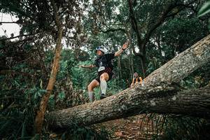 BIB: 
                            <button type="button" onclick="openModal(25550146)" class="btn btn-primary btn-sm float-right btn-popup" data-toggle="modal" data-target=".modal-high-quality">
                        <i class="fas fa-shopping-cart"></i> Add to Cart
                    </button>
                                            <button type="button" onclick="isThisMe(25550146, true)" class="btn btn-success btn-sm float-right btn-popup btn-isme hidden" data-toggle="tooltip" data-placement="bottom" title="นี่คือรูปของคุณใช่ไหม คลิกที่นี่เพื่อเอาเข้าอัลบั้ม">
                        <i class="fas fa-plus"></i> Add to album
                    </button>
                    <button type="button" onclick="isThisMe(25550146, false)" class="btn btn-warning btn-sm float-right btn-popup btn-isnotme hidden">
                        <i class="fas fa-ban"></i> Remove from album
                    </button>