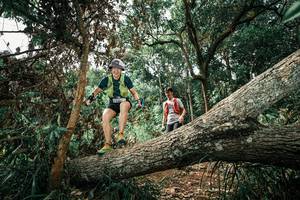 BIB: 
                            <button type="button" onclick="openModal(25549452)" class="btn btn-primary btn-sm float-right btn-popup" data-toggle="modal" data-target=".modal-high-quality">
                        <i class="fas fa-shopping-cart"></i> Add to Cart
                    </button>
                                            <button type="button" onclick="isThisMe(25549452, true)" class="btn btn-success btn-sm float-right btn-popup btn-isme hidden" data-toggle="tooltip" data-placement="bottom" title="นี่คือรูปของคุณใช่ไหม คลิกที่นี่เพื่อเอาเข้าอัลบั้ม">
                        <i class="fas fa-plus"></i> Add to album
                    </button>
                    <button type="button" onclick="isThisMe(25549452, false)" class="btn btn-warning btn-sm float-right btn-popup btn-isnotme hidden">
                        <i class="fas fa-ban"></i> Remove from album
                    </button>