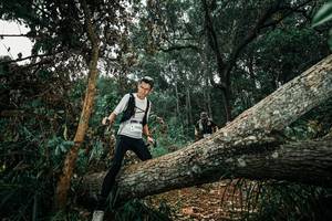 BIB: 
                            <button type="button" onclick="openModal(25550816)" class="btn btn-primary btn-sm float-right btn-popup" data-toggle="modal" data-target=".modal-high-quality">
                        <i class="fas fa-shopping-cart"></i> Add to Cart
                    </button>
                                            <button type="button" onclick="isThisMe(25550816, true)" class="btn btn-success btn-sm float-right btn-popup btn-isme hidden" data-toggle="tooltip" data-placement="bottom" title="นี่คือรูปของคุณใช่ไหม คลิกที่นี่เพื่อเอาเข้าอัลบั้ม">
                        <i class="fas fa-plus"></i> Add to album
                    </button>
                    <button type="button" onclick="isThisMe(25550816, false)" class="btn btn-warning btn-sm float-right btn-popup btn-isnotme hidden">
                        <i class="fas fa-ban"></i> Remove from album
                    </button>