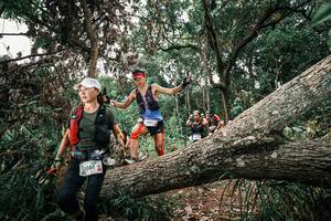 BIB: 
                            <button type="button" onclick="openModal(25530763)" class="btn btn-primary btn-sm float-right btn-popup" data-toggle="modal" data-target=".modal-high-quality">
                        <i class="fas fa-shopping-cart"></i> Add to Cart
                    </button>
                                            <button type="button" onclick="isThisMe(25530763, true)" class="btn btn-success btn-sm float-right btn-popup btn-isme hidden" data-toggle="tooltip" data-placement="bottom" title="นี่คือรูปของคุณใช่ไหม คลิกที่นี่เพื่อเอาเข้าอัลบั้ม">
                        <i class="fas fa-plus"></i> Add to album
                    </button>
                    <button type="button" onclick="isThisMe(25530763, false)" class="btn btn-warning btn-sm float-right btn-popup btn-isnotme hidden">
                        <i class="fas fa-ban"></i> Remove from album
                    </button>