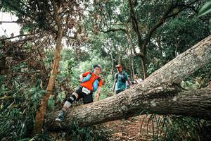 BIB: 
                            <button type="button" onclick="openModal(25545695)" class="btn btn-primary btn-sm float-right btn-popup" data-toggle="modal" data-target=".modal-high-quality">
                        <i class="fas fa-shopping-cart"></i> Add to Cart
                    </button>
                                            <button type="button" onclick="isThisMe(25545695, true)" class="btn btn-success btn-sm float-right btn-popup btn-isme hidden" data-toggle="tooltip" data-placement="bottom" title="นี่คือรูปของคุณใช่ไหม คลิกที่นี่เพื่อเอาเข้าอัลบั้ม">
                        <i class="fas fa-plus"></i> Add to album
                    </button>
                    <button type="button" onclick="isThisMe(25545695, false)" class="btn btn-warning btn-sm float-right btn-popup btn-isnotme hidden">
                        <i class="fas fa-ban"></i> Remove from album
                    </button>