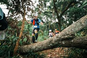 BIB: 
                            <button type="button" onclick="openModal(25547712)" class="btn btn-primary btn-sm float-right btn-popup" data-toggle="modal" data-target=".modal-high-quality">
                        <i class="fas fa-shopping-cart"></i> Add to Cart
                    </button>
                                            <button type="button" onclick="isThisMe(25547712, true)" class="btn btn-success btn-sm float-right btn-popup btn-isme hidden" data-toggle="tooltip" data-placement="bottom" title="นี่คือรูปของคุณใช่ไหม คลิกที่นี่เพื่อเอาเข้าอัลบั้ม">
                        <i class="fas fa-plus"></i> Add to album
                    </button>
                    <button type="button" onclick="isThisMe(25547712, false)" class="btn btn-warning btn-sm float-right btn-popup btn-isnotme hidden">
                        <i class="fas fa-ban"></i> Remove from album
                    </button>