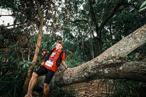 BIB: 
                            <button type="button" onclick="openModal(25552637)" class="btn btn-primary btn-sm float-right btn-popup" data-toggle="modal" data-target=".modal-high-quality">
                        <i class="fas fa-shopping-cart"></i> Add to Cart
                    </button>
                                            <button type="button" onclick="isThisMe(25552637, true)" class="btn btn-success btn-sm float-right btn-popup btn-isme hidden" data-toggle="tooltip" data-placement="bottom" title="นี่คือรูปของคุณใช่ไหม คลิกที่นี่เพื่อเอาเข้าอัลบั้ม">
                        <i class="fas fa-plus"></i> Add to album
                    </button>
                    <button type="button" onclick="isThisMe(25552637, false)" class="btn btn-warning btn-sm float-right btn-popup btn-isnotme hidden">
                        <i class="fas fa-ban"></i> Remove from album
                    </button>