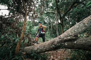 BIB: 
                            <button type="button" onclick="openModal(25530997)" class="btn btn-primary btn-sm float-right btn-popup" data-toggle="modal" data-target=".modal-high-quality">
                        <i class="fas fa-shopping-cart"></i> Add to Cart
                    </button>
                                            <button type="button" onclick="isThisMe(25530997, true)" class="btn btn-success btn-sm float-right btn-popup btn-isme hidden" data-toggle="tooltip" data-placement="bottom" title="นี่คือรูปของคุณใช่ไหม คลิกที่นี่เพื่อเอาเข้าอัลบั้ม">
                        <i class="fas fa-plus"></i> Add to album
                    </button>
                    <button type="button" onclick="isThisMe(25530997, false)" class="btn btn-warning btn-sm float-right btn-popup btn-isnotme hidden">
                        <i class="fas fa-ban"></i> Remove from album
                    </button>