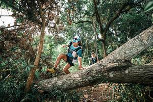 BIB: 
                            <button type="button" onclick="openModal(25537613)" class="btn btn-primary btn-sm float-right btn-popup" data-toggle="modal" data-target=".modal-high-quality">
                        <i class="fas fa-shopping-cart"></i> Add to Cart
                    </button>
                                            <button type="button" onclick="isThisMe(25537613, true)" class="btn btn-success btn-sm float-right btn-popup btn-isme hidden" data-toggle="tooltip" data-placement="bottom" title="นี่คือรูปของคุณใช่ไหม คลิกที่นี่เพื่อเอาเข้าอัลบั้ม">
                        <i class="fas fa-plus"></i> Add to album
                    </button>
                    <button type="button" onclick="isThisMe(25537613, false)" class="btn btn-warning btn-sm float-right btn-popup btn-isnotme hidden">
                        <i class="fas fa-ban"></i> Remove from album
                    </button>