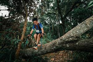 BIB: 
                            <button type="button" onclick="openModal(25550297)" class="btn btn-primary btn-sm float-right btn-popup" data-toggle="modal" data-target=".modal-high-quality">
                        <i class="fas fa-shopping-cart"></i> Add to Cart
                    </button>
                                            <button type="button" onclick="isThisMe(25550297, true)" class="btn btn-success btn-sm float-right btn-popup btn-isme hidden" data-toggle="tooltip" data-placement="bottom" title="นี่คือรูปของคุณใช่ไหม คลิกที่นี่เพื่อเอาเข้าอัลบั้ม">
                        <i class="fas fa-plus"></i> Add to album
                    </button>
                    <button type="button" onclick="isThisMe(25550297, false)" class="btn btn-warning btn-sm float-right btn-popup btn-isnotme hidden">
                        <i class="fas fa-ban"></i> Remove from album
                    </button>