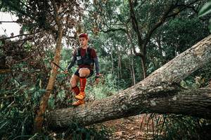 BIB: 
                            <button type="button" onclick="openModal(25548467)" class="btn btn-primary btn-sm float-right btn-popup" data-toggle="modal" data-target=".modal-high-quality">
                        <i class="fas fa-shopping-cart"></i> Add to Cart
                    </button>
                                            <button type="button" onclick="isThisMe(25548467, true)" class="btn btn-success btn-sm float-right btn-popup btn-isme hidden" data-toggle="tooltip" data-placement="bottom" title="นี่คือรูปของคุณใช่ไหม คลิกที่นี่เพื่อเอาเข้าอัลบั้ม">
                        <i class="fas fa-plus"></i> Add to album
                    </button>
                    <button type="button" onclick="isThisMe(25548467, false)" class="btn btn-warning btn-sm float-right btn-popup btn-isnotme hidden">
                        <i class="fas fa-ban"></i> Remove from album
                    </button>