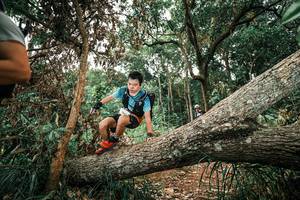 BIB: 
                            <button type="button" onclick="openModal(25545055)" class="btn btn-primary btn-sm float-right btn-popup" data-toggle="modal" data-target=".modal-high-quality">
                        <i class="fas fa-shopping-cart"></i> Add to Cart
                    </button>
                                            <button type="button" onclick="isThisMe(25545055, true)" class="btn btn-success btn-sm float-right btn-popup btn-isme hidden" data-toggle="tooltip" data-placement="bottom" title="นี่คือรูปของคุณใช่ไหม คลิกที่นี่เพื่อเอาเข้าอัลบั้ม">
                        <i class="fas fa-plus"></i> Add to album
                    </button>
                    <button type="button" onclick="isThisMe(25545055, false)" class="btn btn-warning btn-sm float-right btn-popup btn-isnotme hidden">
                        <i class="fas fa-ban"></i> Remove from album
                    </button>