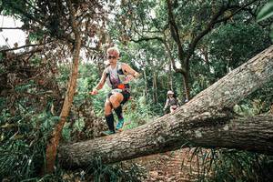 BIB: 
                            <button type="button" onclick="openModal(25545359)" class="btn btn-primary btn-sm float-right btn-popup" data-toggle="modal" data-target=".modal-high-quality">
                        <i class="fas fa-shopping-cart"></i> Add to Cart
                    </button>
                                            <button type="button" onclick="isThisMe(25545359, true)" class="btn btn-success btn-sm float-right btn-popup btn-isme hidden" data-toggle="tooltip" data-placement="bottom" title="นี่คือรูปของคุณใช่ไหม คลิกที่นี่เพื่อเอาเข้าอัลบั้ม">
                        <i class="fas fa-plus"></i> Add to album
                    </button>
                    <button type="button" onclick="isThisMe(25545359, false)" class="btn btn-warning btn-sm float-right btn-popup btn-isnotme hidden">
                        <i class="fas fa-ban"></i> Remove from album
                    </button>