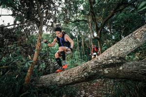 BIB: 
                            <button type="button" onclick="openModal(25527011)" class="btn btn-primary btn-sm float-right btn-popup" data-toggle="modal" data-target=".modal-high-quality">
                        <i class="fas fa-shopping-cart"></i> Add to Cart
                    </button>
                                            <button type="button" onclick="isThisMe(25527011, true)" class="btn btn-success btn-sm float-right btn-popup btn-isme hidden" data-toggle="tooltip" data-placement="bottom" title="นี่คือรูปของคุณใช่ไหม คลิกที่นี่เพื่อเอาเข้าอัลบั้ม">
                        <i class="fas fa-plus"></i> Add to album
                    </button>
                    <button type="button" onclick="isThisMe(25527011, false)" class="btn btn-warning btn-sm float-right btn-popup btn-isnotme hidden">
                        <i class="fas fa-ban"></i> Remove from album
                    </button>