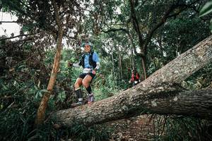 BIB: 
                            <button type="button" onclick="openModal(25535588)" class="btn btn-primary btn-sm float-right btn-popup" data-toggle="modal" data-target=".modal-high-quality">
                        <i class="fas fa-shopping-cart"></i> Add to Cart
                    </button>
                                            <button type="button" onclick="isThisMe(25535588, true)" class="btn btn-success btn-sm float-right btn-popup btn-isme hidden" data-toggle="tooltip" data-placement="bottom" title="นี่คือรูปของคุณใช่ไหม คลิกที่นี่เพื่อเอาเข้าอัลบั้ม">
                        <i class="fas fa-plus"></i> Add to album
                    </button>
                    <button type="button" onclick="isThisMe(25535588, false)" class="btn btn-warning btn-sm float-right btn-popup btn-isnotme hidden">
                        <i class="fas fa-ban"></i> Remove from album
                    </button>