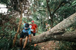 BIB: 
                            <button type="button" onclick="openModal(25544713)" class="btn btn-primary btn-sm float-right btn-popup" data-toggle="modal" data-target=".modal-high-quality">
                        <i class="fas fa-shopping-cart"></i> Add to Cart
                    </button>
                                            <button type="button" onclick="isThisMe(25544713, true)" class="btn btn-success btn-sm float-right btn-popup btn-isme hidden" data-toggle="tooltip" data-placement="bottom" title="นี่คือรูปของคุณใช่ไหม คลิกที่นี่เพื่อเอาเข้าอัลบั้ม">
                        <i class="fas fa-plus"></i> Add to album
                    </button>
                    <button type="button" onclick="isThisMe(25544713, false)" class="btn btn-warning btn-sm float-right btn-popup btn-isnotme hidden">
                        <i class="fas fa-ban"></i> Remove from album
                    </button>