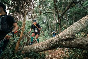 BIB: 
                            <button type="button" onclick="openModal(25529538)" class="btn btn-primary btn-sm float-right btn-popup" data-toggle="modal" data-target=".modal-high-quality">
                        <i class="fas fa-shopping-cart"></i> Add to Cart
                    </button>
                                            <button type="button" onclick="isThisMe(25529538, true)" class="btn btn-success btn-sm float-right btn-popup btn-isme hidden" data-toggle="tooltip" data-placement="bottom" title="นี่คือรูปของคุณใช่ไหม คลิกที่นี่เพื่อเอาเข้าอัลบั้ม">
                        <i class="fas fa-plus"></i> Add to album
                    </button>
                    <button type="button" onclick="isThisMe(25529538, false)" class="btn btn-warning btn-sm float-right btn-popup btn-isnotme hidden">
                        <i class="fas fa-ban"></i> Remove from album
                    </button>