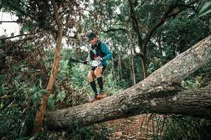 BIB: 
                            <button type="button" onclick="openModal(25545533)" class="btn btn-primary btn-sm float-right btn-popup" data-toggle="modal" data-target=".modal-high-quality">
                        <i class="fas fa-shopping-cart"></i> Add to Cart
                    </button>
                                            <button type="button" onclick="isThisMe(25545533, true)" class="btn btn-success btn-sm float-right btn-popup btn-isme hidden" data-toggle="tooltip" data-placement="bottom" title="นี่คือรูปของคุณใช่ไหม คลิกที่นี่เพื่อเอาเข้าอัลบั้ม">
                        <i class="fas fa-plus"></i> Add to album
                    </button>
                    <button type="button" onclick="isThisMe(25545533, false)" class="btn btn-warning btn-sm float-right btn-popup btn-isnotme hidden">
                        <i class="fas fa-ban"></i> Remove from album
                    </button>