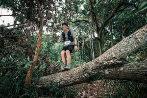 BIB: 
                            <button type="button" onclick="openModal(25528536)" class="btn btn-primary btn-sm float-right btn-popup" data-toggle="modal" data-target=".modal-high-quality">
                        <i class="fas fa-shopping-cart"></i> Add to Cart
                    </button>
                                            <button type="button" onclick="isThisMe(25528536, true)" class="btn btn-success btn-sm float-right btn-popup btn-isme hidden" data-toggle="tooltip" data-placement="bottom" title="นี่คือรูปของคุณใช่ไหม คลิกที่นี่เพื่อเอาเข้าอัลบั้ม">
                        <i class="fas fa-plus"></i> Add to album
                    </button>
                    <button type="button" onclick="isThisMe(25528536, false)" class="btn btn-warning btn-sm float-right btn-popup btn-isnotme hidden">
                        <i class="fas fa-ban"></i> Remove from album
                    </button>