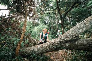 BIB: 
                            <button type="button" onclick="openModal(25541101)" class="btn btn-primary btn-sm float-right btn-popup" data-toggle="modal" data-target=".modal-high-quality">
                        <i class="fas fa-shopping-cart"></i> Add to Cart
                    </button>
                                            <button type="button" onclick="isThisMe(25541101, true)" class="btn btn-success btn-sm float-right btn-popup btn-isme hidden" data-toggle="tooltip" data-placement="bottom" title="นี่คือรูปของคุณใช่ไหม คลิกที่นี่เพื่อเอาเข้าอัลบั้ม">
                        <i class="fas fa-plus"></i> Add to album
                    </button>
                    <button type="button" onclick="isThisMe(25541101, false)" class="btn btn-warning btn-sm float-right btn-popup btn-isnotme hidden">
                        <i class="fas fa-ban"></i> Remove from album
                    </button>