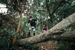 BIB: 
                            <button type="button" onclick="openModal(25538388)" class="btn btn-primary btn-sm float-right btn-popup" data-toggle="modal" data-target=".modal-high-quality">
                        <i class="fas fa-shopping-cart"></i> Add to Cart
                    </button>
                                            <button type="button" onclick="isThisMe(25538388, true)" class="btn btn-success btn-sm float-right btn-popup btn-isme hidden" data-toggle="tooltip" data-placement="bottom" title="นี่คือรูปของคุณใช่ไหม คลิกที่นี่เพื่อเอาเข้าอัลบั้ม">
                        <i class="fas fa-plus"></i> Add to album
                    </button>
                    <button type="button" onclick="isThisMe(25538388, false)" class="btn btn-warning btn-sm float-right btn-popup btn-isnotme hidden">
                        <i class="fas fa-ban"></i> Remove from album
                    </button>