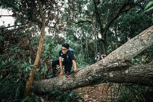 BIB: 
                            <button type="button" onclick="openModal(25541762)" class="btn btn-primary btn-sm float-right btn-popup" data-toggle="modal" data-target=".modal-high-quality">
                        <i class="fas fa-shopping-cart"></i> Add to Cart
                    </button>
                                            <button type="button" onclick="isThisMe(25541762, true)" class="btn btn-success btn-sm float-right btn-popup btn-isme hidden" data-toggle="tooltip" data-placement="bottom" title="นี่คือรูปของคุณใช่ไหม คลิกที่นี่เพื่อเอาเข้าอัลบั้ม">
                        <i class="fas fa-plus"></i> Add to album
                    </button>
                    <button type="button" onclick="isThisMe(25541762, false)" class="btn btn-warning btn-sm float-right btn-popup btn-isnotme hidden">
                        <i class="fas fa-ban"></i> Remove from album
                    </button>