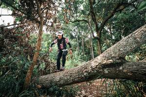 BIB: 
                            <button type="button" onclick="openModal(25533737)" class="btn btn-primary btn-sm float-right btn-popup" data-toggle="modal" data-target=".modal-high-quality">
                        <i class="fas fa-shopping-cart"></i> Add to Cart
                    </button>
                                            <button type="button" onclick="isThisMe(25533737, true)" class="btn btn-success btn-sm float-right btn-popup btn-isme hidden" data-toggle="tooltip" data-placement="bottom" title="นี่คือรูปของคุณใช่ไหม คลิกที่นี่เพื่อเอาเข้าอัลบั้ม">
                        <i class="fas fa-plus"></i> Add to album
                    </button>
                    <button type="button" onclick="isThisMe(25533737, false)" class="btn btn-warning btn-sm float-right btn-popup btn-isnotme hidden">
                        <i class="fas fa-ban"></i> Remove from album
                    </button>