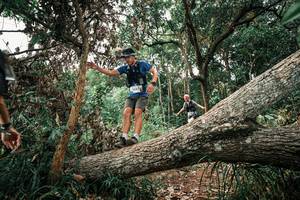 BIB: 
                            <button type="button" onclick="openModal(25530371)" class="btn btn-primary btn-sm float-right btn-popup" data-toggle="modal" data-target=".modal-high-quality">
                        <i class="fas fa-shopping-cart"></i> Add to Cart
                    </button>
                                            <button type="button" onclick="isThisMe(25530371, true)" class="btn btn-success btn-sm float-right btn-popup btn-isme hidden" data-toggle="tooltip" data-placement="bottom" title="นี่คือรูปของคุณใช่ไหม คลิกที่นี่เพื่อเอาเข้าอัลบั้ม">
                        <i class="fas fa-plus"></i> Add to album
                    </button>
                    <button type="button" onclick="isThisMe(25530371, false)" class="btn btn-warning btn-sm float-right btn-popup btn-isnotme hidden">
                        <i class="fas fa-ban"></i> Remove from album
                    </button>