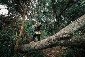 BIB: 
                            <button type="button" onclick="openModal(25544052)" class="btn btn-primary btn-sm float-right btn-popup" data-toggle="modal" data-target=".modal-high-quality">
                        <i class="fas fa-shopping-cart"></i> Add to Cart
                    </button>
                                            <button type="button" onclick="isThisMe(25544052, true)" class="btn btn-success btn-sm float-right btn-popup btn-isme hidden" data-toggle="tooltip" data-placement="bottom" title="นี่คือรูปของคุณใช่ไหม คลิกที่นี่เพื่อเอาเข้าอัลบั้ม">
                        <i class="fas fa-plus"></i> Add to album
                    </button>
                    <button type="button" onclick="isThisMe(25544052, false)" class="btn btn-warning btn-sm float-right btn-popup btn-isnotme hidden">
                        <i class="fas fa-ban"></i> Remove from album
                    </button>