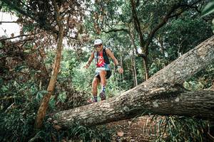 BIB: 
                            <button type="button" onclick="openModal(25537637)" class="btn btn-primary btn-sm float-right btn-popup" data-toggle="modal" data-target=".modal-high-quality">
                        <i class="fas fa-shopping-cart"></i> Add to Cart
                    </button>
                                            <button type="button" onclick="isThisMe(25537637, true)" class="btn btn-success btn-sm float-right btn-popup btn-isme hidden" data-toggle="tooltip" data-placement="bottom" title="นี่คือรูปของคุณใช่ไหม คลิกที่นี่เพื่อเอาเข้าอัลบั้ม">
                        <i class="fas fa-plus"></i> Add to album
                    </button>
                    <button type="button" onclick="isThisMe(25537637, false)" class="btn btn-warning btn-sm float-right btn-popup btn-isnotme hidden">
                        <i class="fas fa-ban"></i> Remove from album
                    </button>