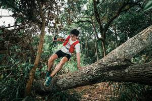 BIB: 
                            <button type="button" onclick="openModal(25549472)" class="btn btn-primary btn-sm float-right btn-popup" data-toggle="modal" data-target=".modal-high-quality">
                        <i class="fas fa-shopping-cart"></i> Add to Cart
                    </button>
                                            <button type="button" onclick="isThisMe(25549472, true)" class="btn btn-success btn-sm float-right btn-popup btn-isme hidden" data-toggle="tooltip" data-placement="bottom" title="นี่คือรูปของคุณใช่ไหม คลิกที่นี่เพื่อเอาเข้าอัลบั้ม">
                        <i class="fas fa-plus"></i> Add to album
                    </button>
                    <button type="button" onclick="isThisMe(25549472, false)" class="btn btn-warning btn-sm float-right btn-popup btn-isnotme hidden">
                        <i class="fas fa-ban"></i> Remove from album
                    </button>