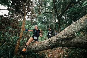 BIB: 
                            <button type="button" onclick="openModal(25549910)" class="btn btn-primary btn-sm float-right btn-popup" data-toggle="modal" data-target=".modal-high-quality">
                        <i class="fas fa-shopping-cart"></i> Add to Cart
                    </button>
                                            <button type="button" onclick="isThisMe(25549910, true)" class="btn btn-success btn-sm float-right btn-popup btn-isme hidden" data-toggle="tooltip" data-placement="bottom" title="นี่คือรูปของคุณใช่ไหม คลิกที่นี่เพื่อเอาเข้าอัลบั้ม">
                        <i class="fas fa-plus"></i> Add to album
                    </button>
                    <button type="button" onclick="isThisMe(25549910, false)" class="btn btn-warning btn-sm float-right btn-popup btn-isnotme hidden">
                        <i class="fas fa-ban"></i> Remove from album
                    </button>