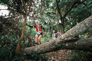 BIB: 
                            <button type="button" onclick="openModal(25532724)" class="btn btn-primary btn-sm float-right btn-popup" data-toggle="modal" data-target=".modal-high-quality">
                        <i class="fas fa-shopping-cart"></i> Add to Cart
                    </button>
                                            <button type="button" onclick="isThisMe(25532724, true)" class="btn btn-success btn-sm float-right btn-popup btn-isme hidden" data-toggle="tooltip" data-placement="bottom" title="นี่คือรูปของคุณใช่ไหม คลิกที่นี่เพื่อเอาเข้าอัลบั้ม">
                        <i class="fas fa-plus"></i> Add to album
                    </button>
                    <button type="button" onclick="isThisMe(25532724, false)" class="btn btn-warning btn-sm float-right btn-popup btn-isnotme hidden">
                        <i class="fas fa-ban"></i> Remove from album
                    </button>