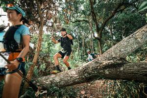 BIB: 
                            <button type="button" onclick="openModal(25537480)" class="btn btn-primary btn-sm float-right btn-popup" data-toggle="modal" data-target=".modal-high-quality">
                        <i class="fas fa-shopping-cart"></i> Add to Cart
                    </button>
                                            <button type="button" onclick="isThisMe(25537480, true)" class="btn btn-success btn-sm float-right btn-popup btn-isme hidden" data-toggle="tooltip" data-placement="bottom" title="นี่คือรูปของคุณใช่ไหม คลิกที่นี่เพื่อเอาเข้าอัลบั้ม">
                        <i class="fas fa-plus"></i> Add to album
                    </button>
                    <button type="button" onclick="isThisMe(25537480, false)" class="btn btn-warning btn-sm float-right btn-popup btn-isnotme hidden">
                        <i class="fas fa-ban"></i> Remove from album
                    </button>