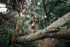 BIB: 
                            <button type="button" onclick="openModal(25544247)" class="btn btn-primary btn-sm float-right btn-popup" data-toggle="modal" data-target=".modal-high-quality">
                        <i class="fas fa-shopping-cart"></i> Add to Cart
                    </button>
                                            <button type="button" onclick="isThisMe(25544247, true)" class="btn btn-success btn-sm float-right btn-popup btn-isme hidden" data-toggle="tooltip" data-placement="bottom" title="นี่คือรูปของคุณใช่ไหม คลิกที่นี่เพื่อเอาเข้าอัลบั้ม">
                        <i class="fas fa-plus"></i> Add to album
                    </button>
                    <button type="button" onclick="isThisMe(25544247, false)" class="btn btn-warning btn-sm float-right btn-popup btn-isnotme hidden">
                        <i class="fas fa-ban"></i> Remove from album
                    </button>